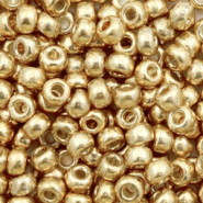 Miyuki seed beads 6/0 - Duracoat galvanized champagne 6-4204